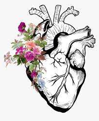 heart and flower 
