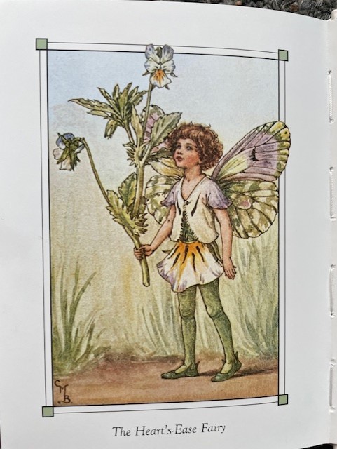 wild pansy fairy